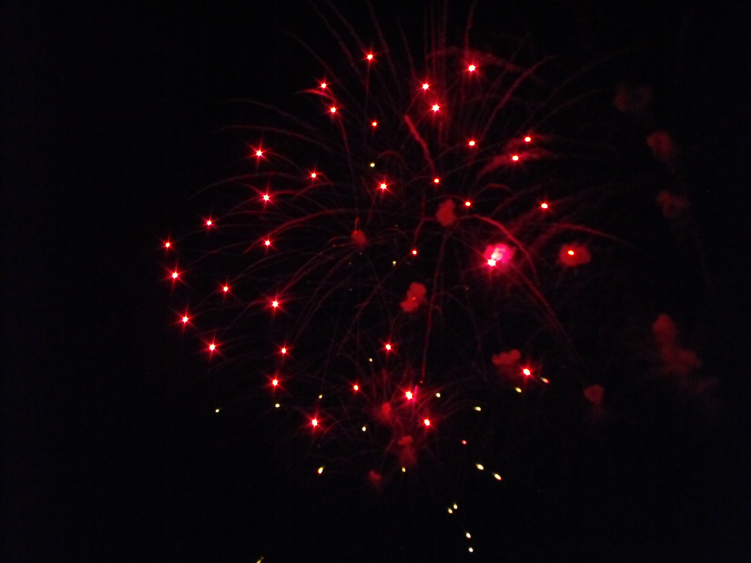 ./2010/Fourth of July/4th July Fireworks Wilm 0030.JPG